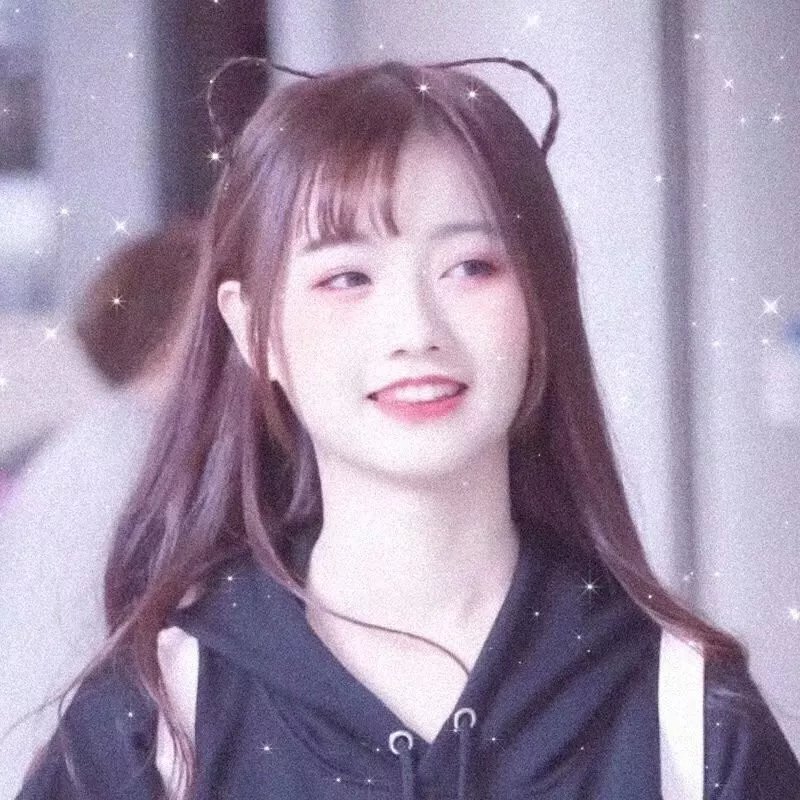 有猫的迷宫